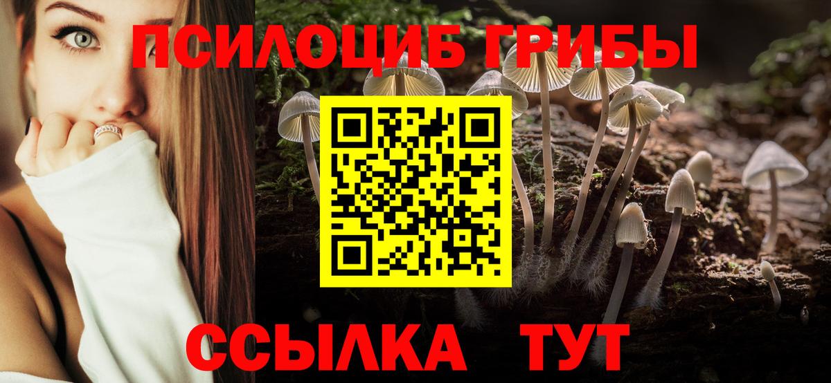 Галлюциногенные грибы Magic Shrooms Мончегорск